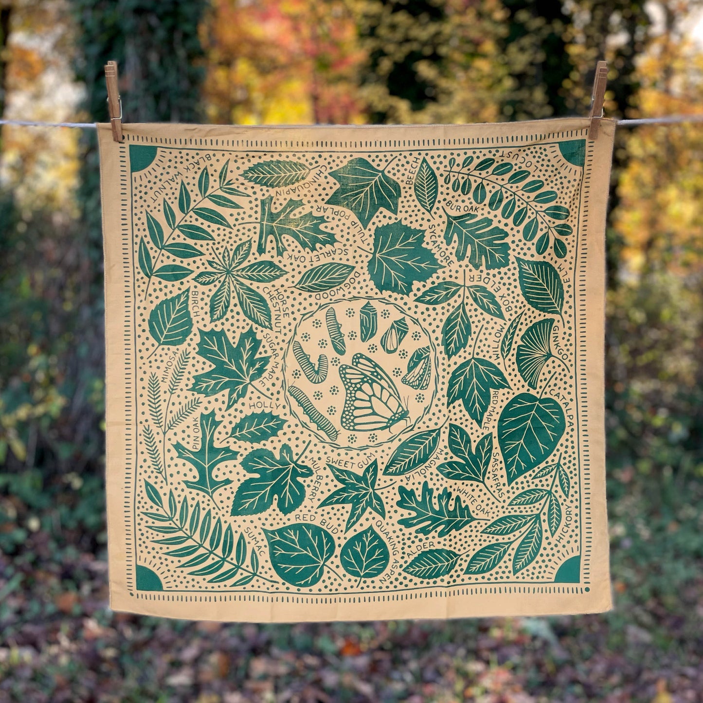 Leaf ID Bandana